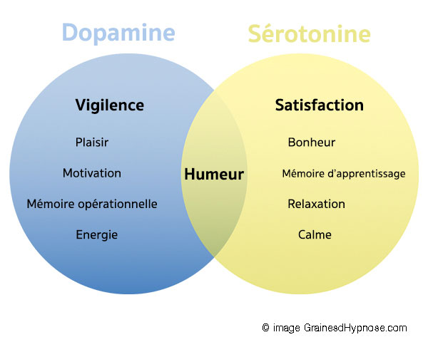 schéma Dopamine sérotonine addictions Graines d'Hypnose Montpellier - hypnothérapeute montpellier - hypnose en ligne hypnose arret tabac montpellier hypnose pour arrêter de fumer